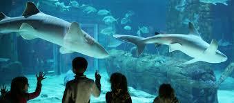 Seaquarium
