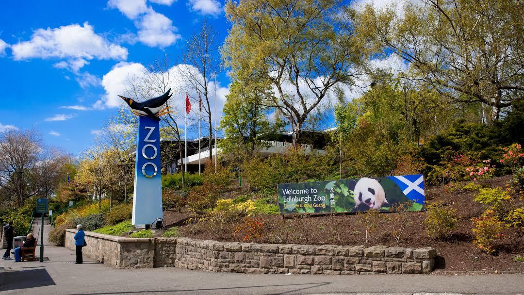 Dierentuin van Edinburgh