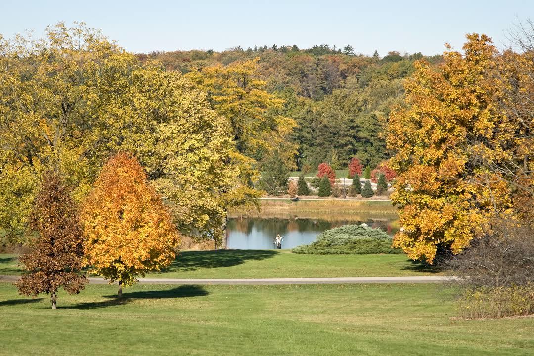Morton Arboretum