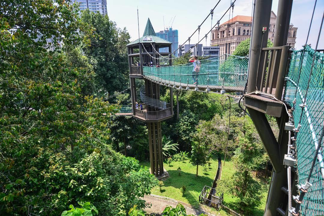 Bosreservaat Bukit Nanas