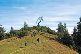 Rauschenberg-kabelwagen