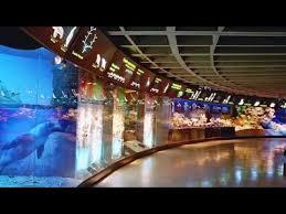 Zeemuseum van Litouwen