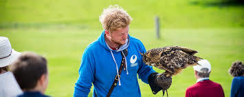 National Centre for Birds of Prey