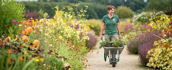 Hemsley Walled Garden