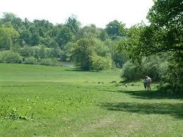 Weald Country Park