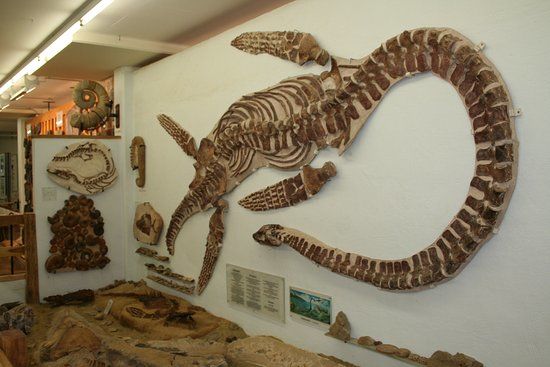 Urweltmuseum Neiderhell