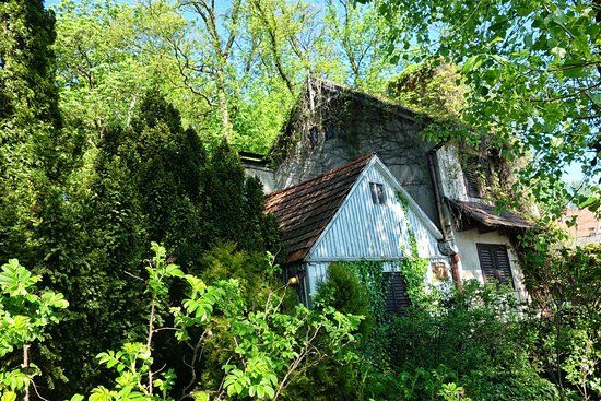 The House of the Syroks