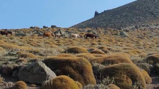 Thousand and One Churches