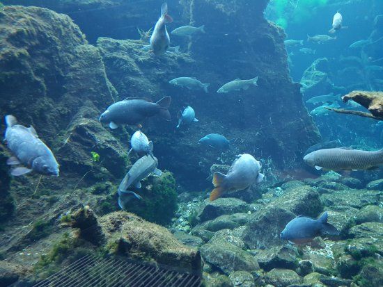 Centro Visite del Parco Nazionale dello Stelvio