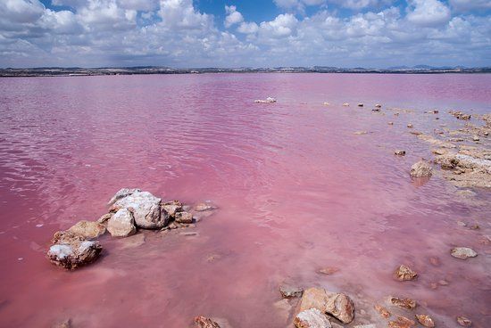 Laguna Salada de Torrevieja