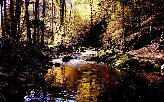La Vallée de la Hoëgne