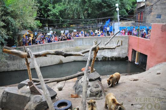 Dierentuin van Jerevan