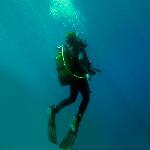 Pizzeria Ristorante Daniele