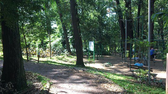 Antônio Pezzolo Park