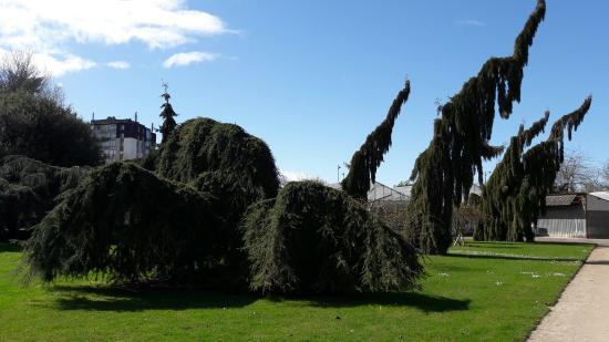 Botanical Garden of Orleans