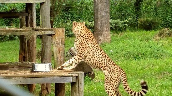 Mount Kenya Wildlife Conservancy