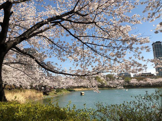 Seokchon Hosu-park