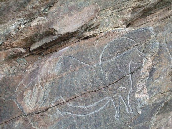 Rock Engravings of Mazouco