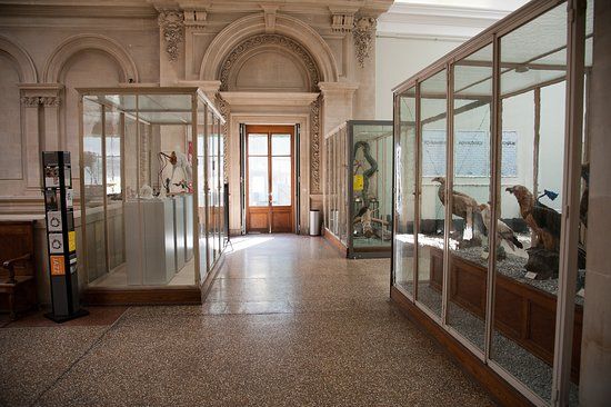 Musée cantonal de zoologie