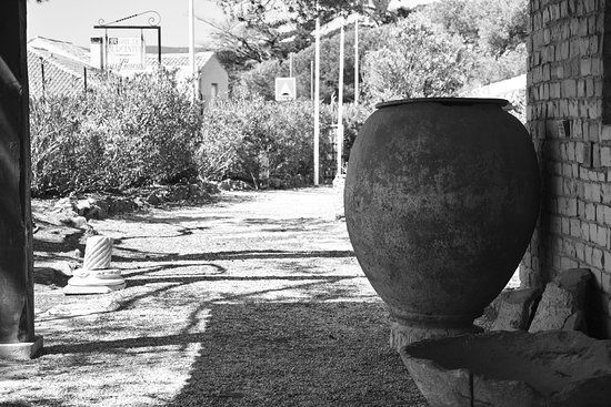 Musée de Tauroentum