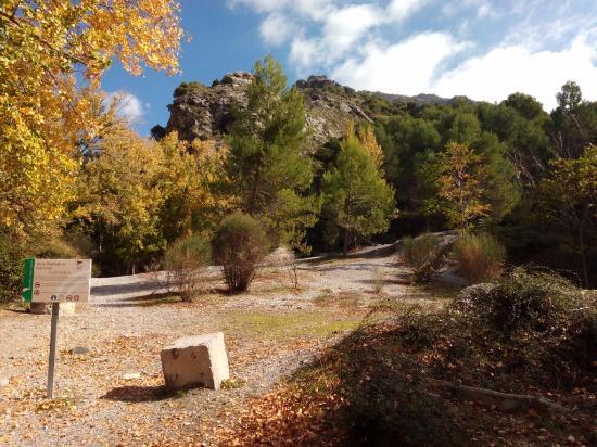 Area Recreativa Rio Dilar