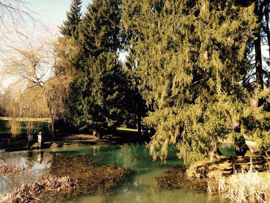 Wenken Park