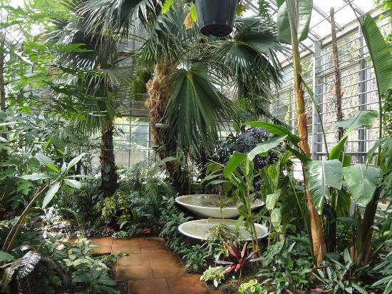 JURASSICA Jardin botanique