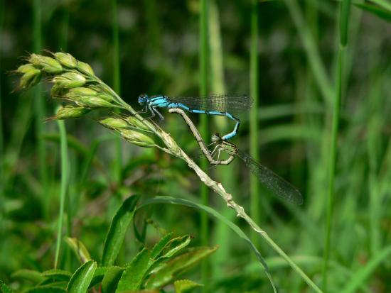 Les Etangs de Latour