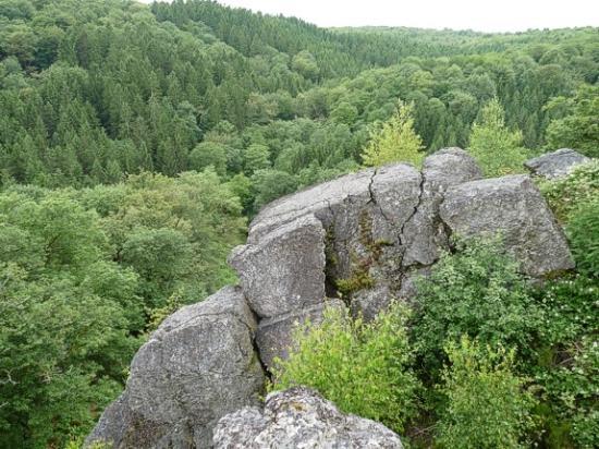 Reserve Naturelle de la Roche a l'Appel