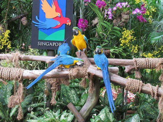Jurong Birdpark