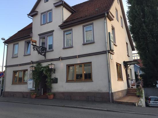Ochsen