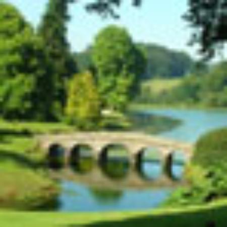 Puckis Kitchen & Bar