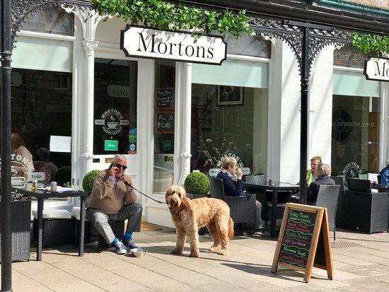 Morton's Coffee Lounge