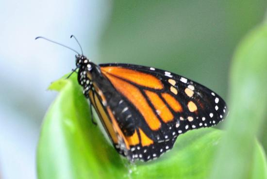 Le Jardin des Découvertes
