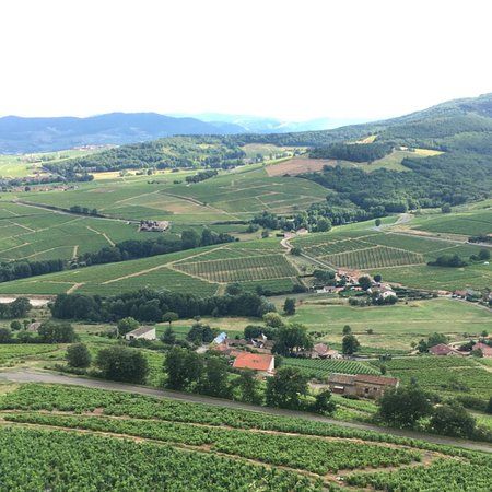 Mont Brouilly