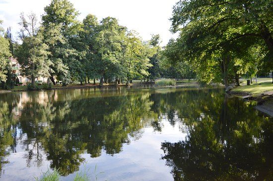 Parc Albert Schweitzer