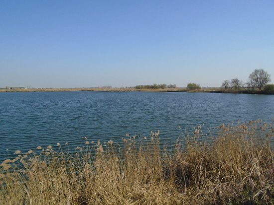 Put van Vlissegem
