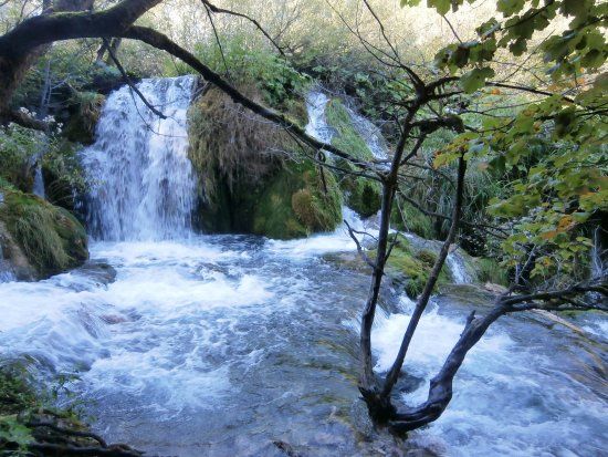 Slapovi Milke Trnine