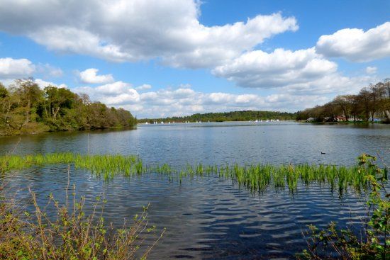 Frensham Great Pond & Common