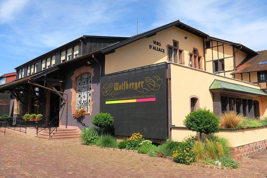 Wijnproducent Wolfberger