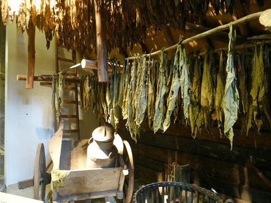 Tabaksteeltmuseum Amerongen