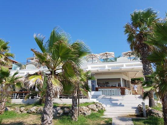 The Mango Beach Bar
