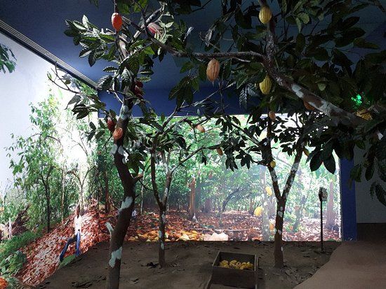 The Interactive Chocolate Museum