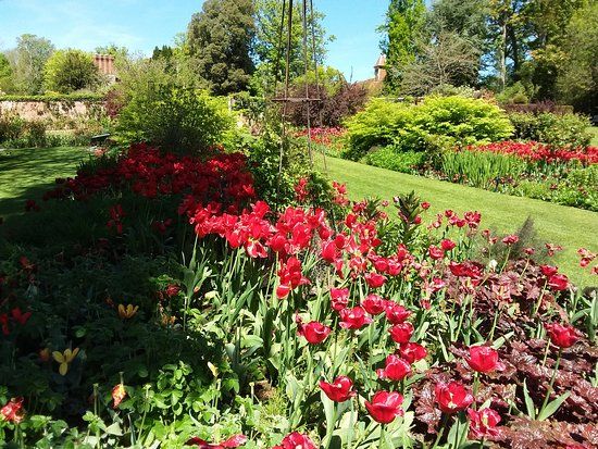 Pashley Manor Gardens