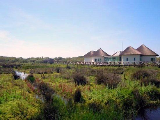 El Camaleon Chipiona