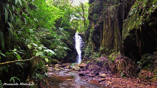 Catarata Los Murciélagos / Monteverde Waterfall