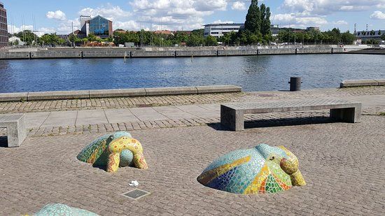 Walross auf Landgang