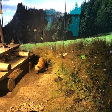 Centrum Edukacji Przyrodniczej Tatrzanskiego Parku Narodowego