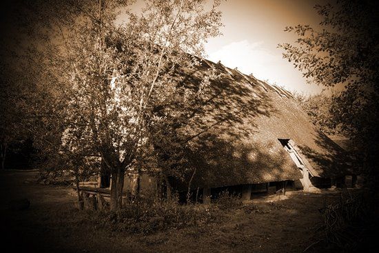 IJzertijdboerderij Dongen