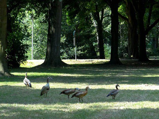 Gijsbrecht van Aemstelpark